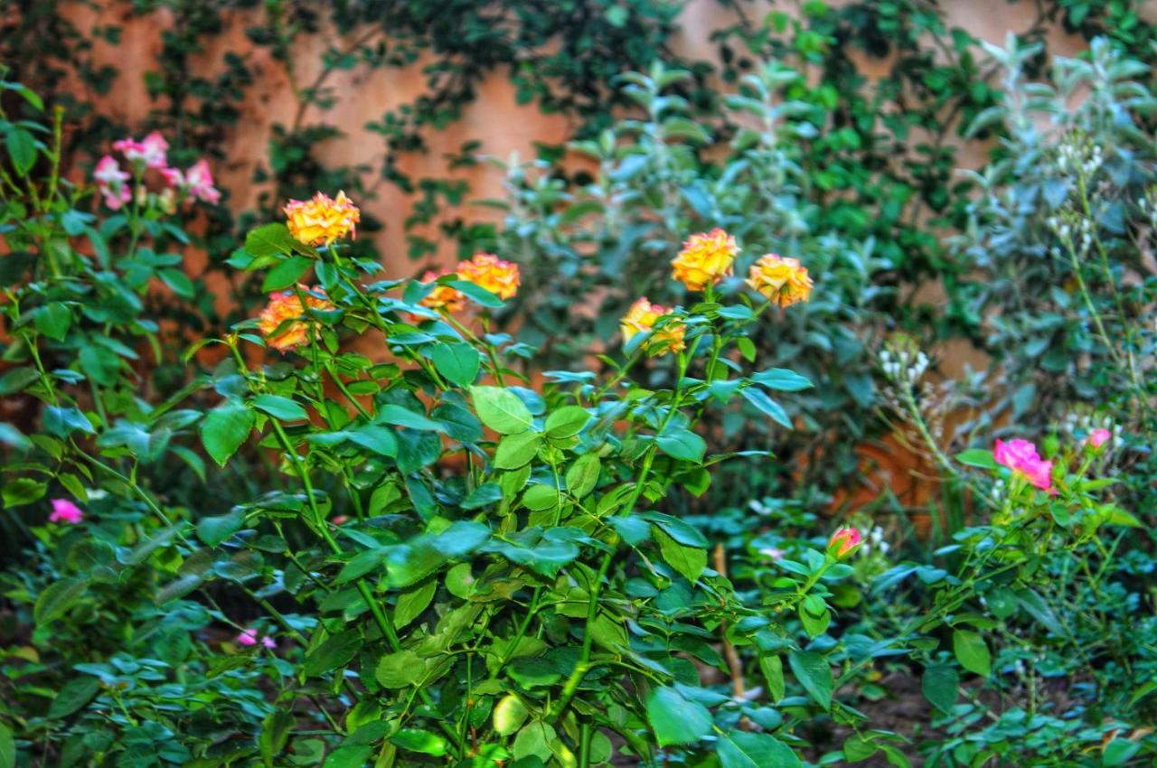 Butterfly Apartments Livingstone Esterno foto